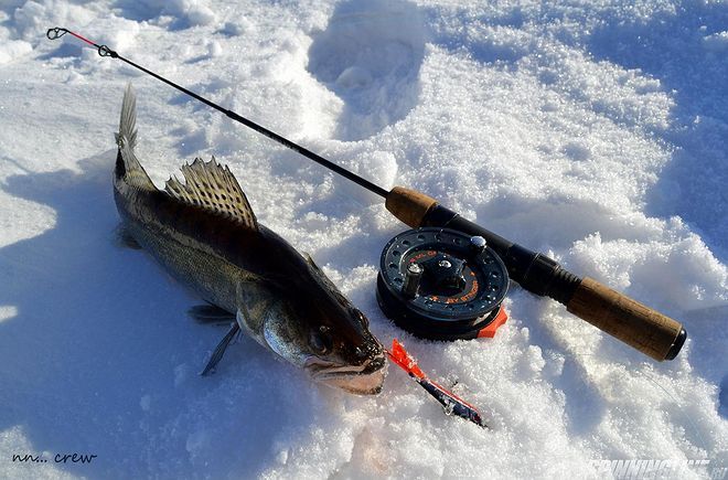 Изображение 1 : Первая весенняя рыбалка на Финском заливе.